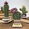 Wonderland Crafts Tall Cactus in Bowl Bead Embroidery on Wood Kit